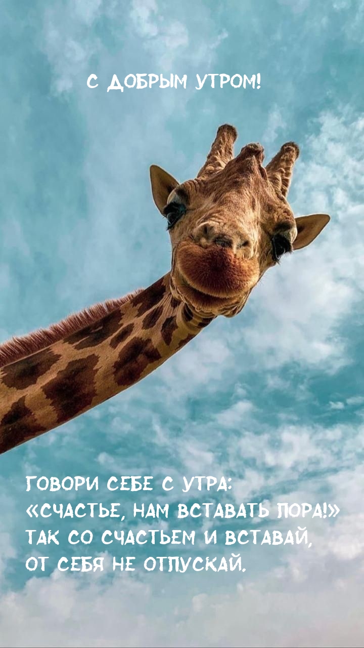 С добрым утро! Счастье, нам вставать пора!