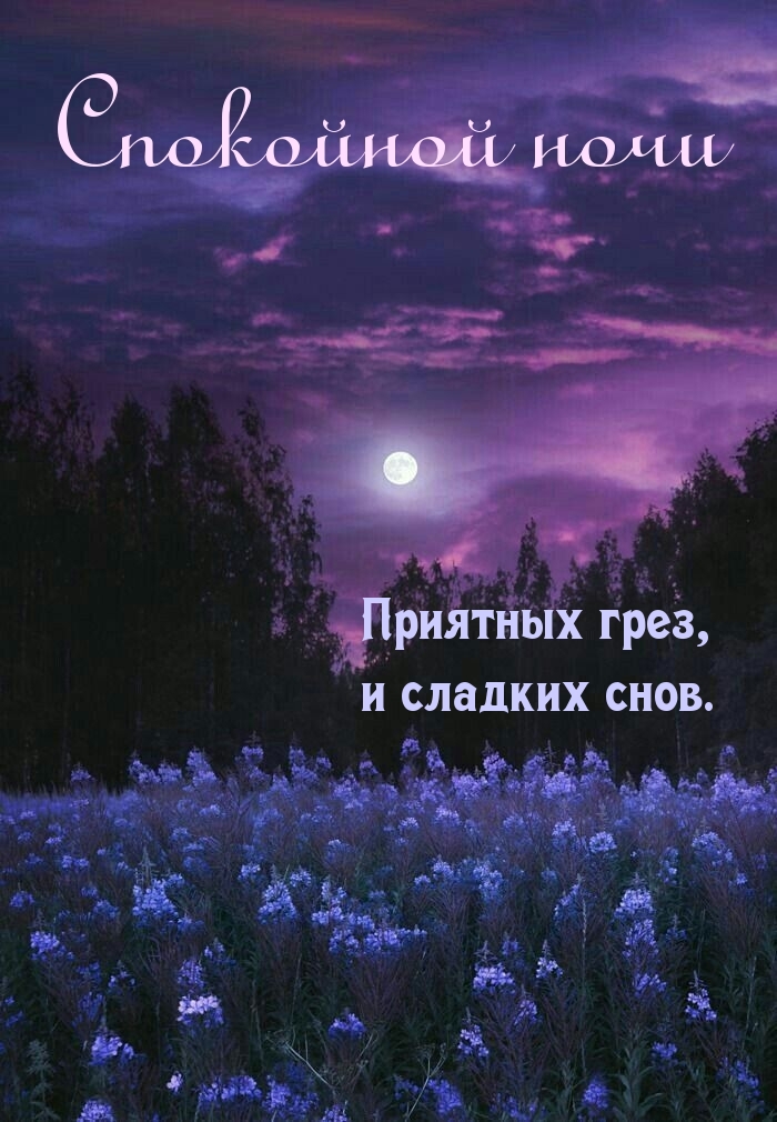 Приятных грез, и сладких снов. Спокойной ночи