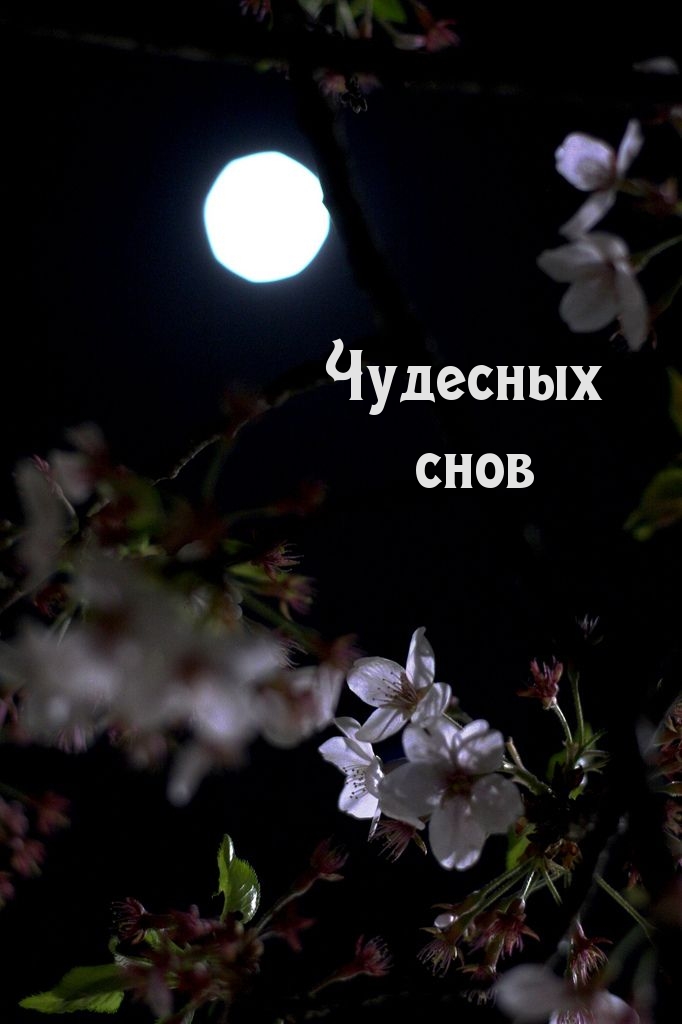 Чудесных снов