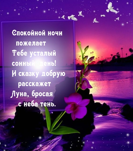 Спокойной ночи пожелает тебе усталый сонный день!