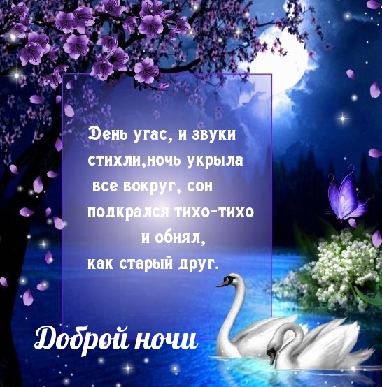 Доброй ночи День угас и звуки стихли, ночь укрыла все вокруг