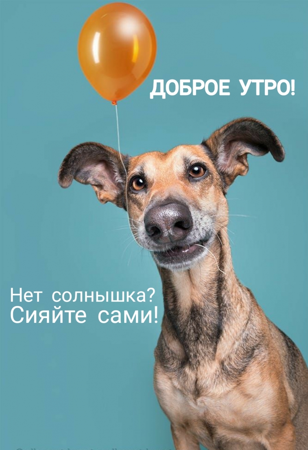 Доброе утро! Нет солнышка? Сияйте сами!