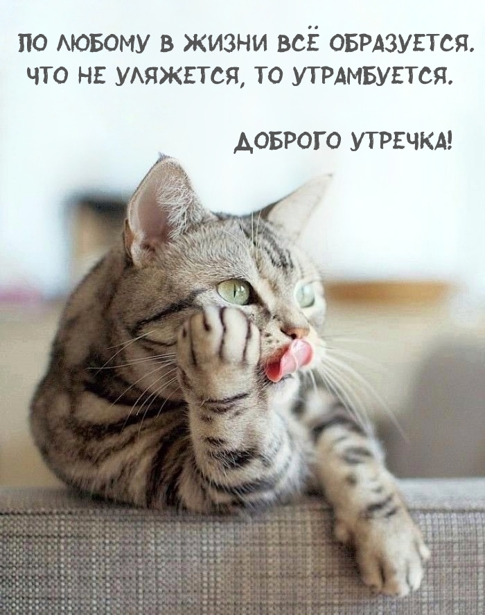 Доброго утречка! По любому в жизни всё образуется.