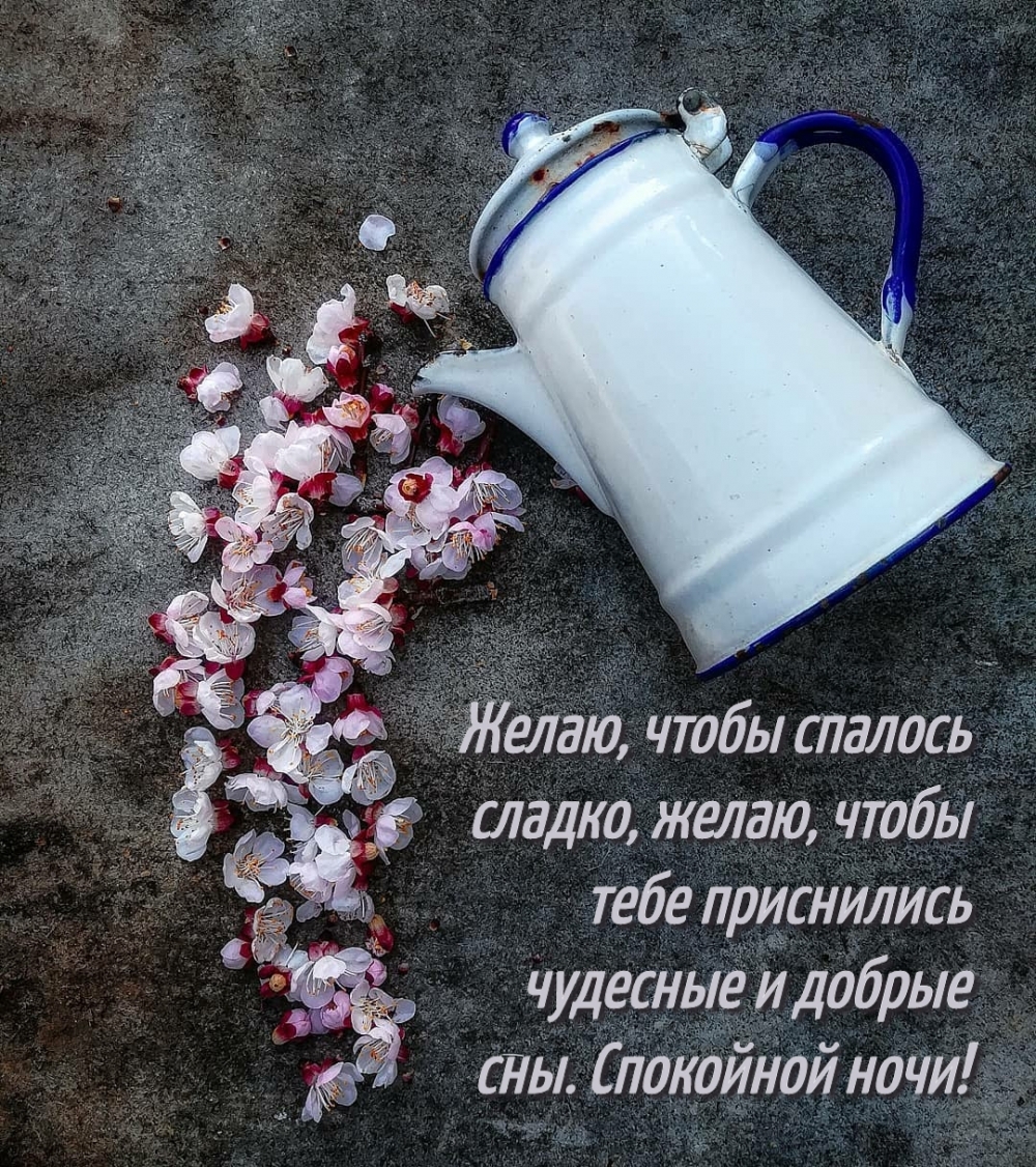Желаю, чтобы приснились чудесные сны! Спокойной ночи!