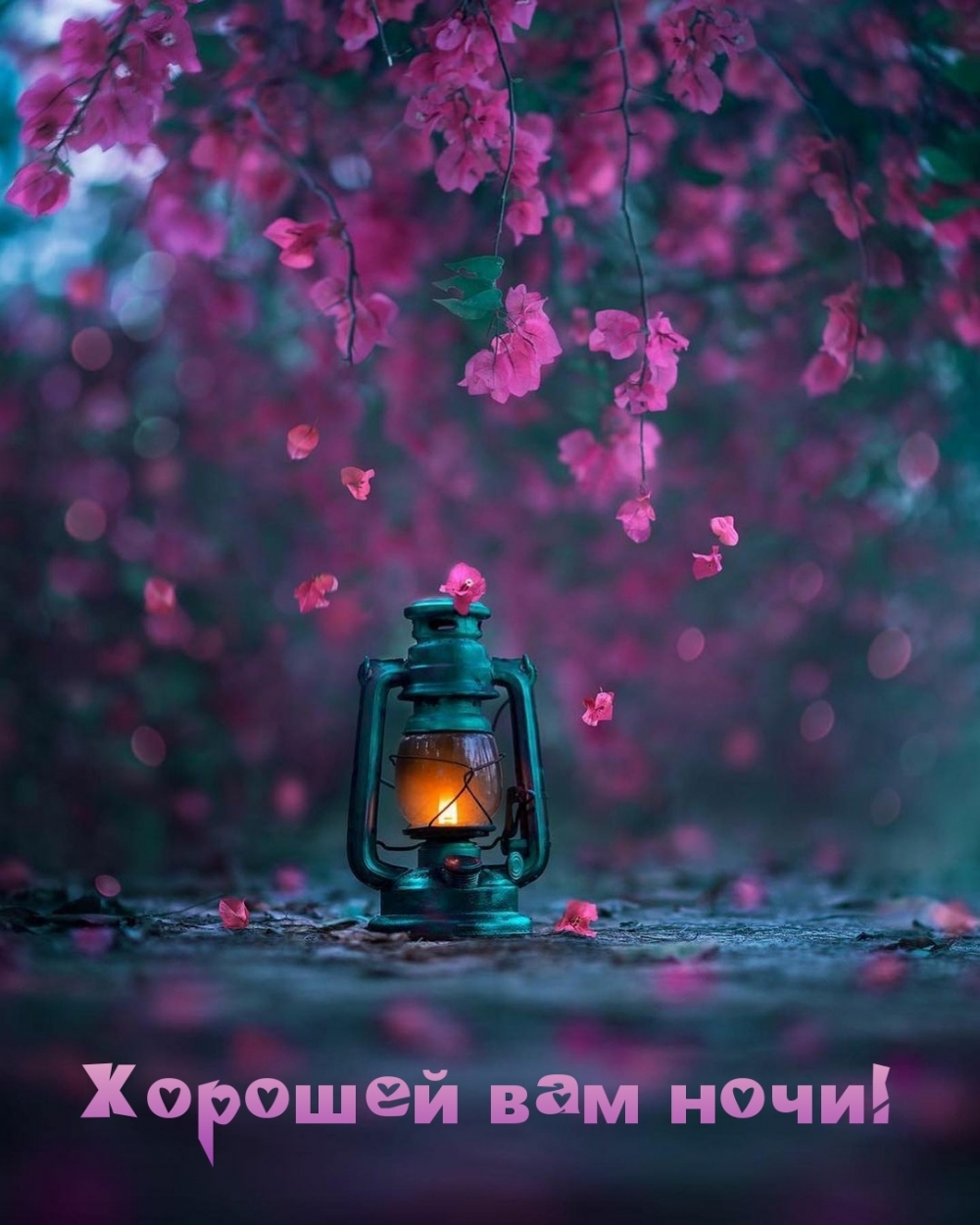 Хорошей вам ночи!