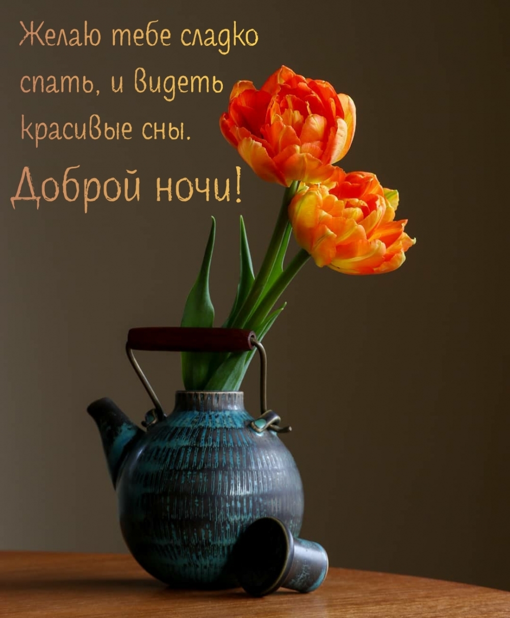 Желаю тебе сладко спать, и видеть красивые сны. Доброй ночи!