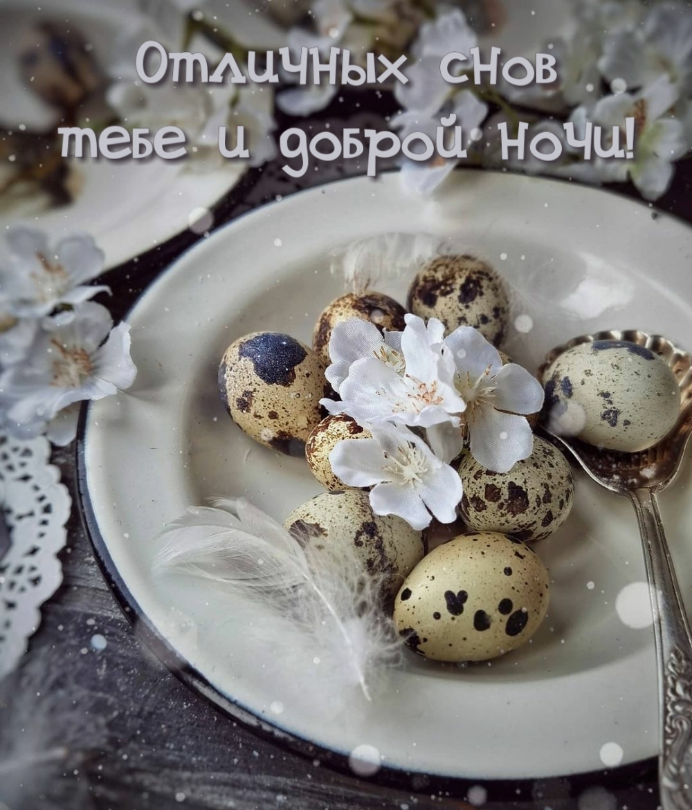 Картинки с надписями.  Отличных снов тебе и доброй ночи!.