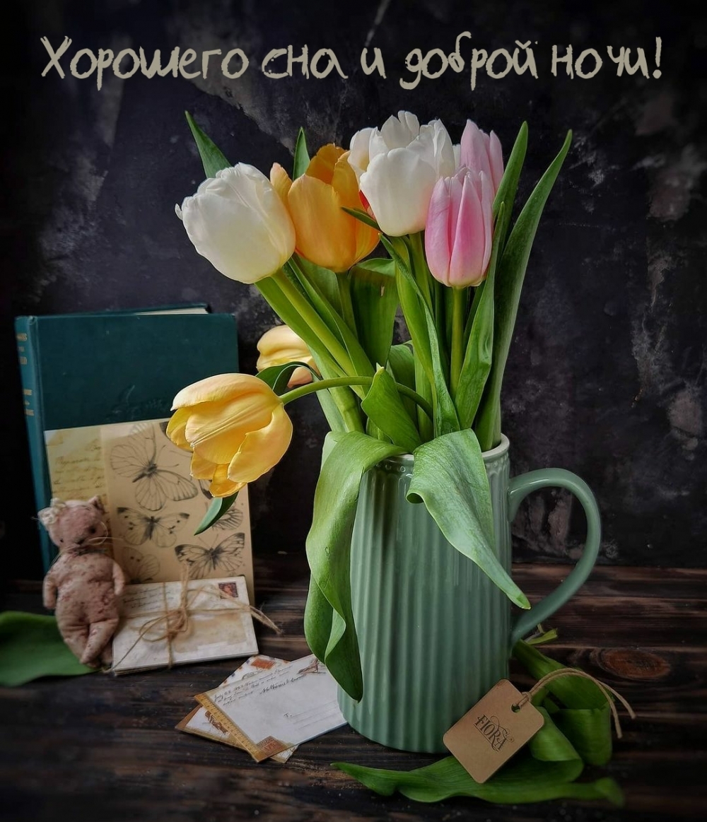 Хорошего сна и доброй ночи!