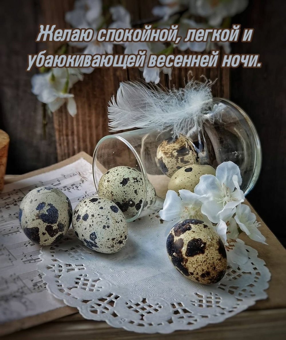 Желаю спокойной, легкой и убаюкивающей весенней ночи.