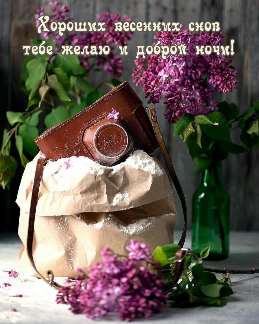 Хороших весенних снов тебе желаю и доброй ночи!