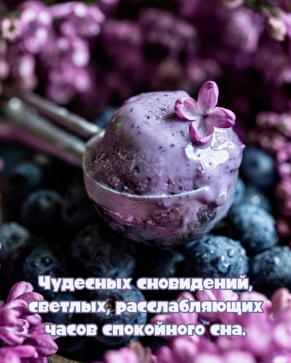 Чудесных сновидений, светлых, расслабляющих часов спокойного сна.