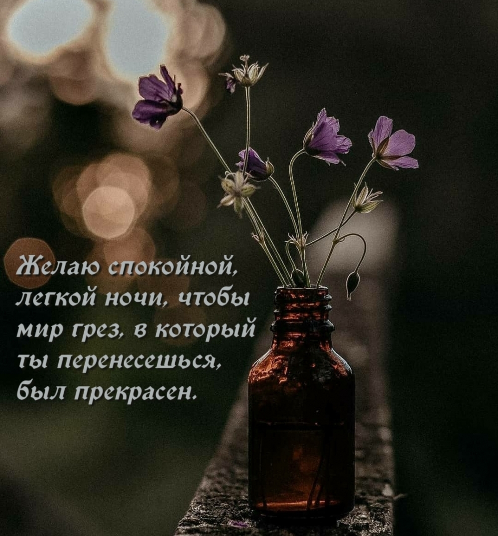 Желаю спокойной, легкой ночи, чтобы мир грез был прекрасен