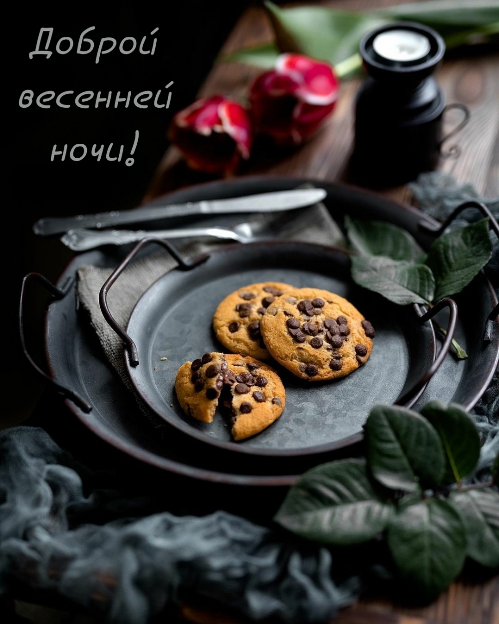 Доброй весенней ночи!