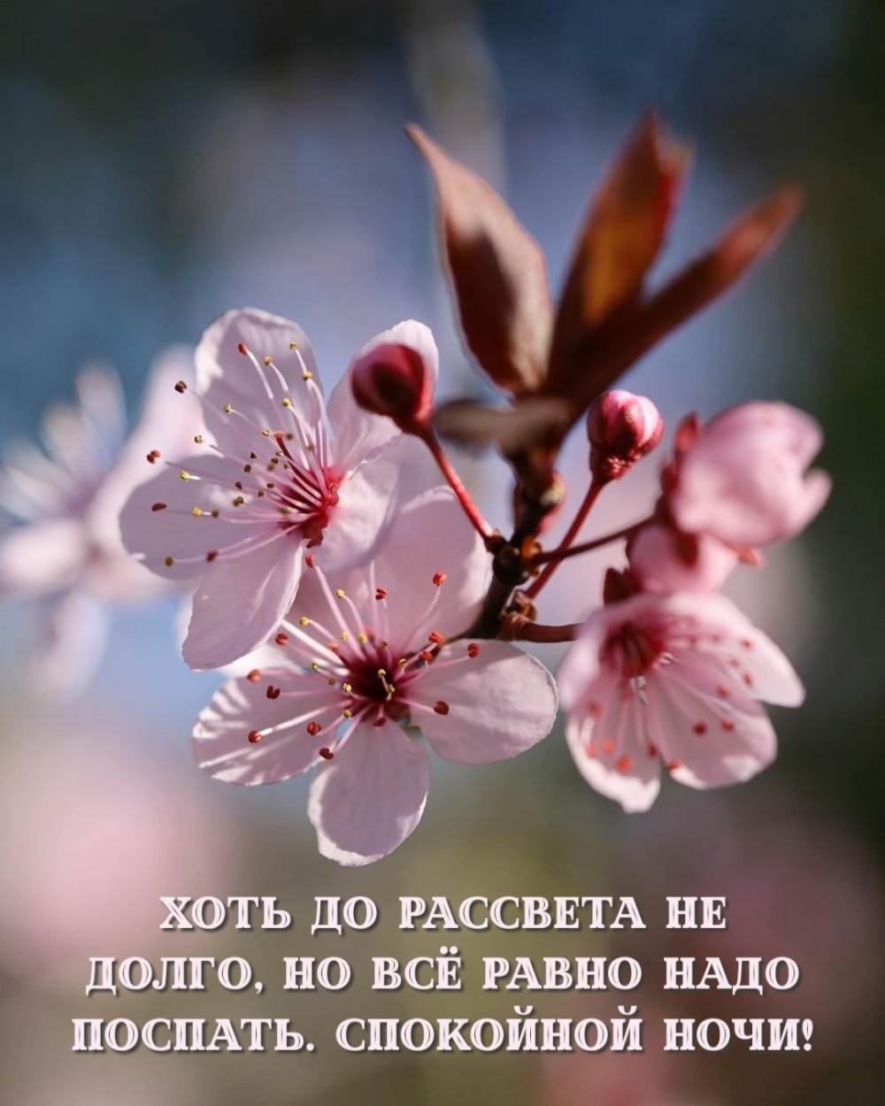 Хоть до рассвета не долго, но всё равно надо поспать. Спокойной ночи!