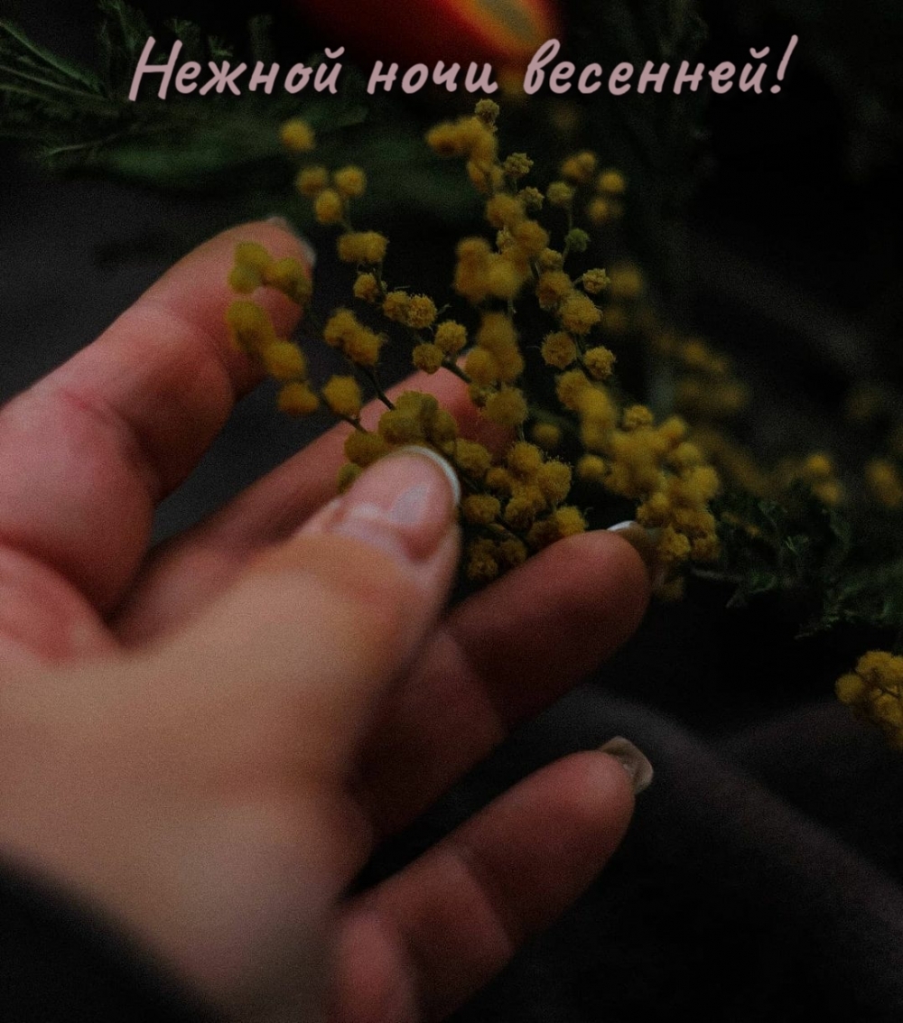 Нежной ночи весенней!