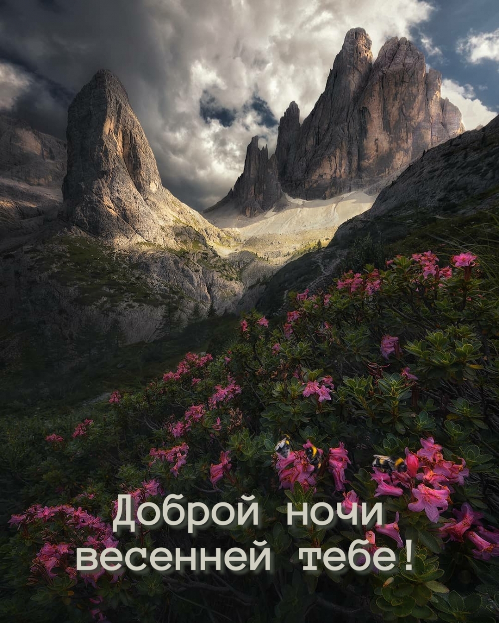 Доброй ночи весенней тебе!