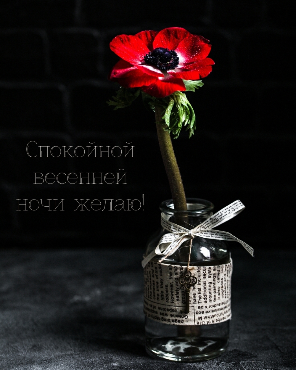 Спокойной весенней ночи желаю!