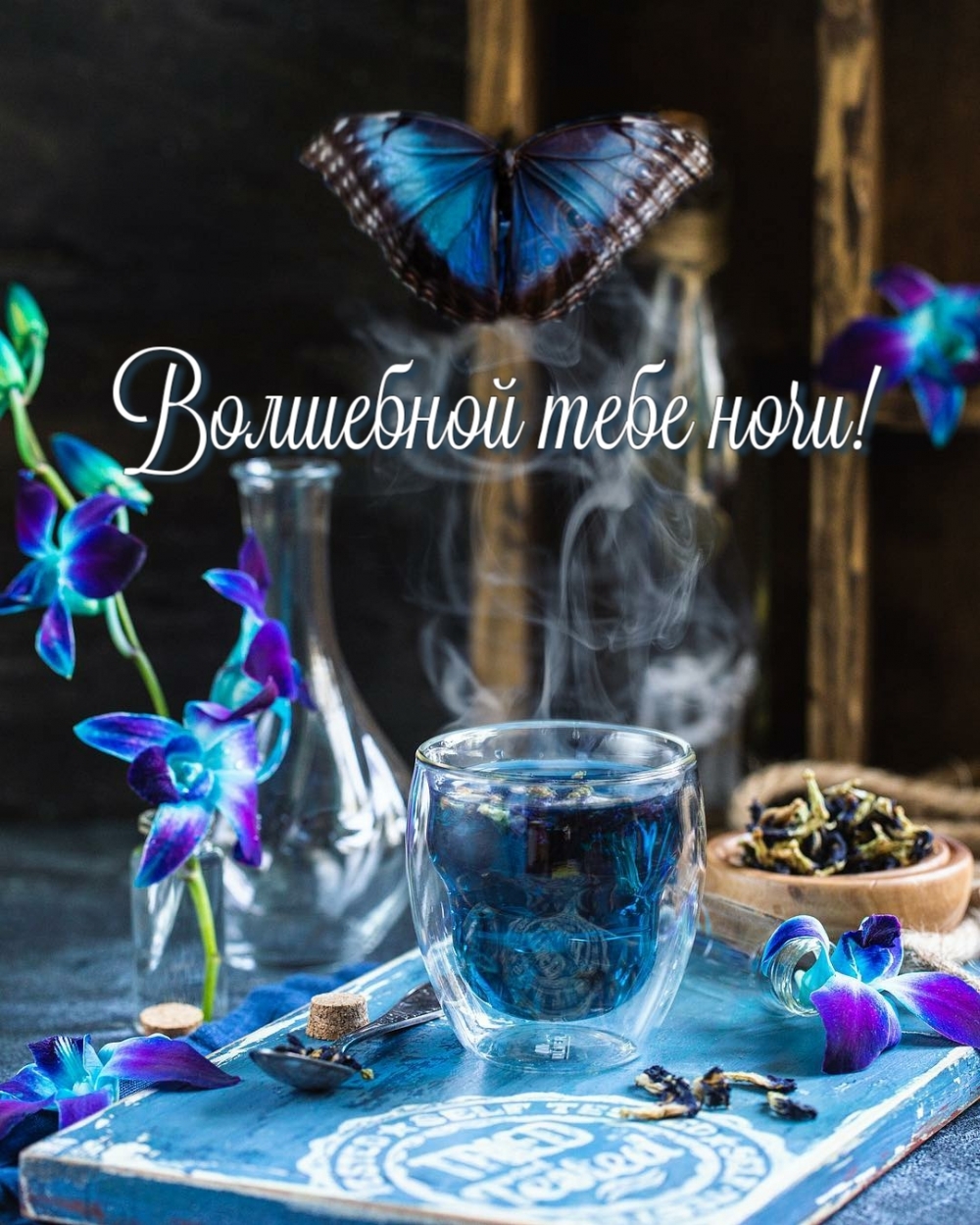 Волшебной тебе ночи!