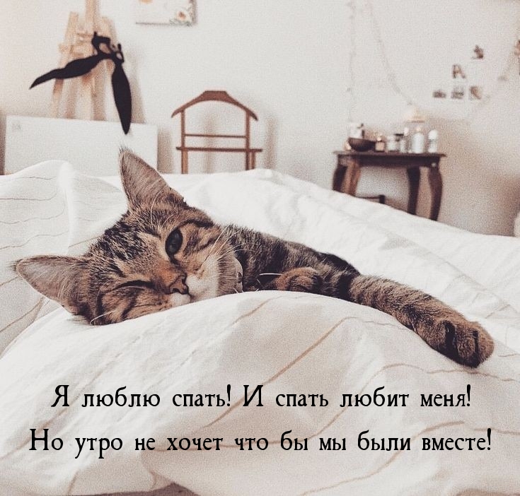 Я люблю спать! И спать любит меня!