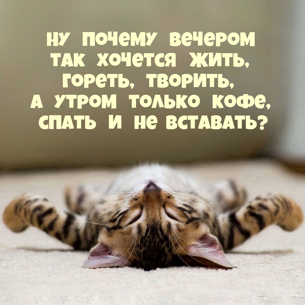 Утром хочется только кофе, спать и не вставать