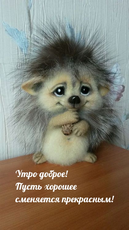 Утро доброе! Пусть хорошее сменяется прекрасным!