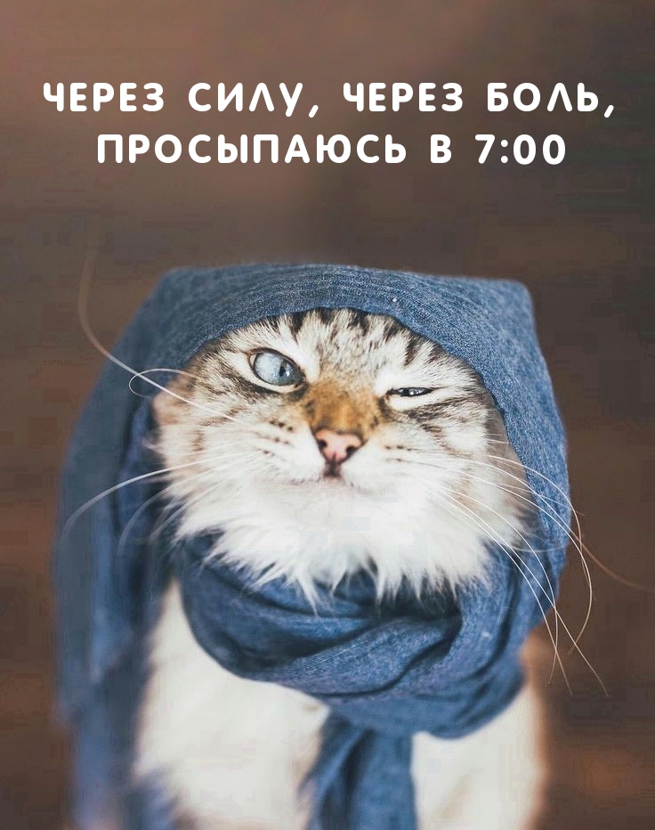 Через силу, через боль, Просыпаюсь в 7:00