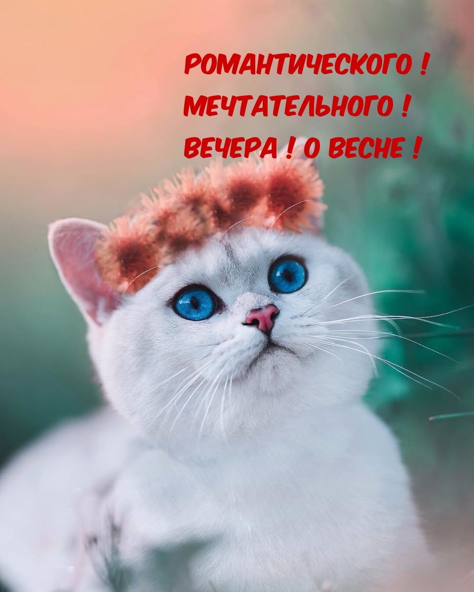 Романтического! Мечтательного! Вечера! О Весне!