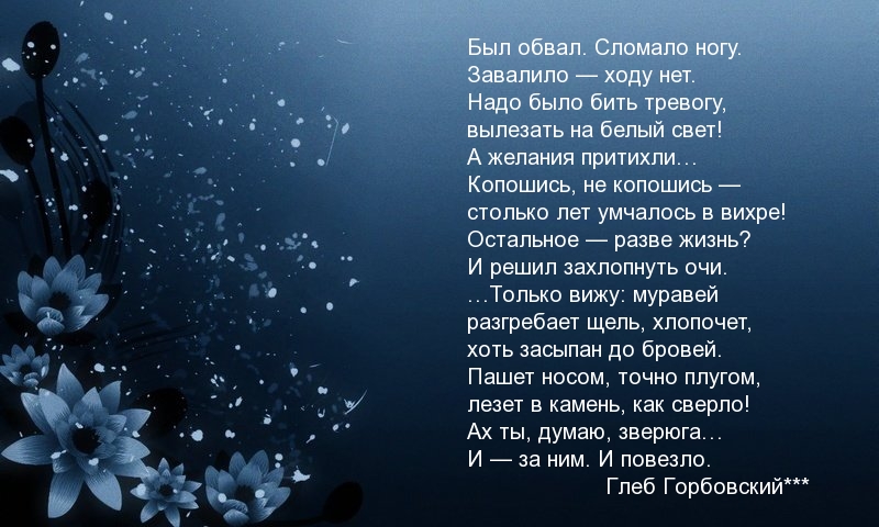 Был обвал. Сломало ногу. Завалило — ходу нет.