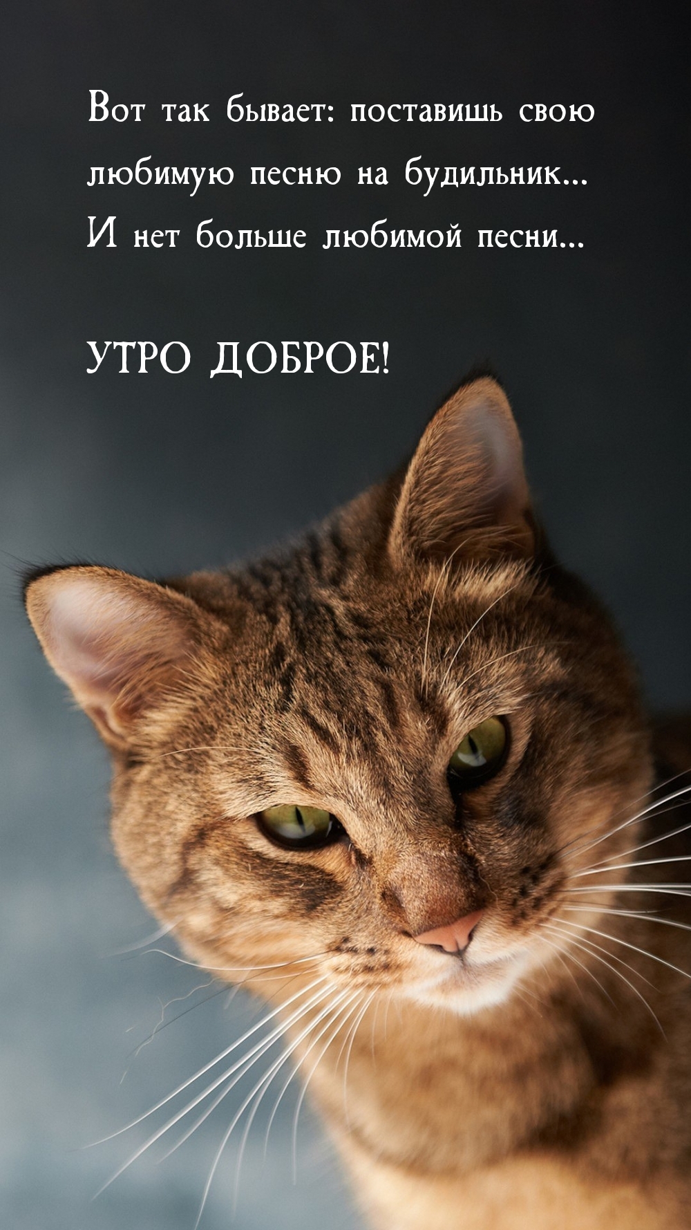 Утро доброе!
