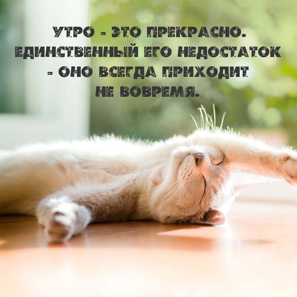 Утро — это прекрасно.