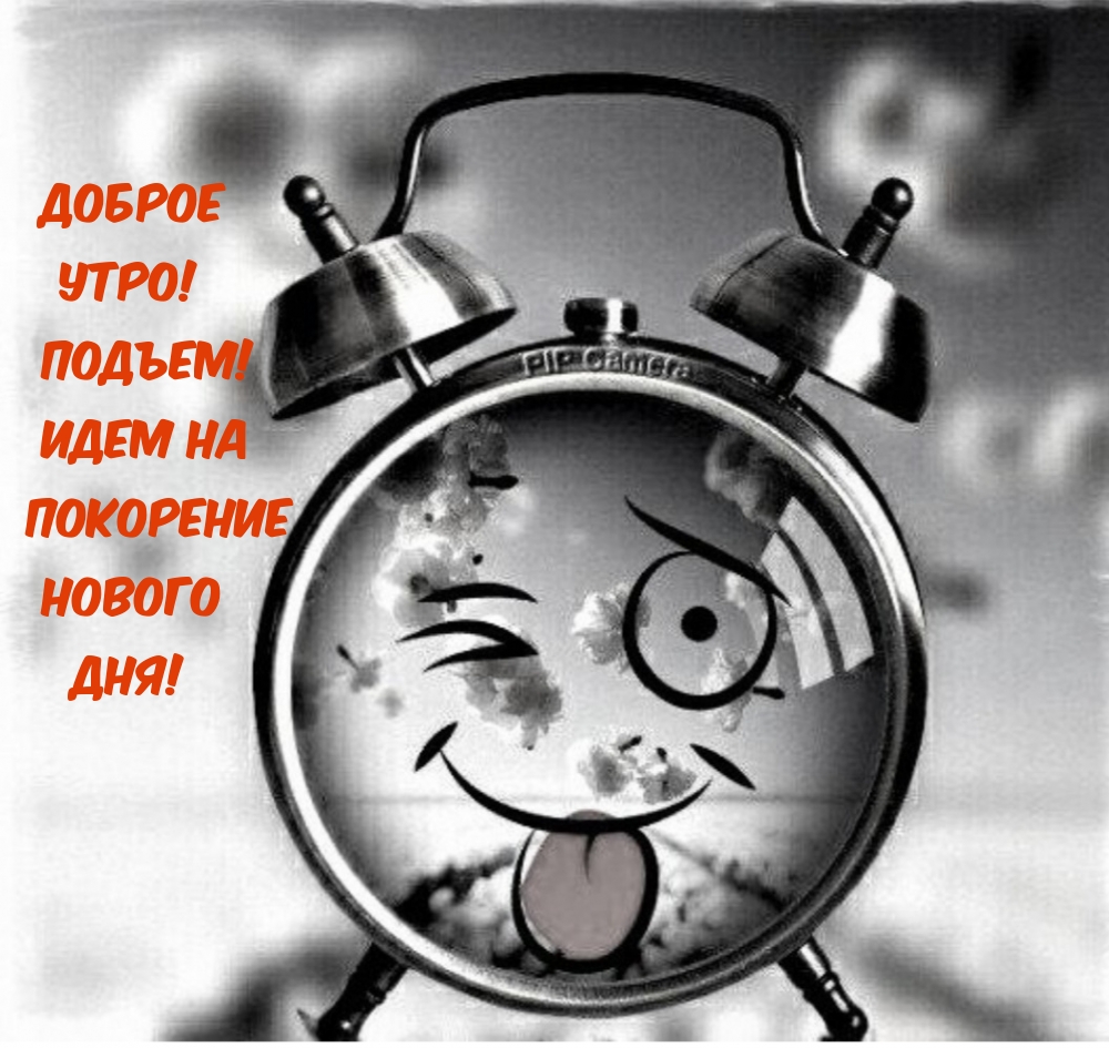 Доброе утро! Подъем! Идем на покорение нового дня!