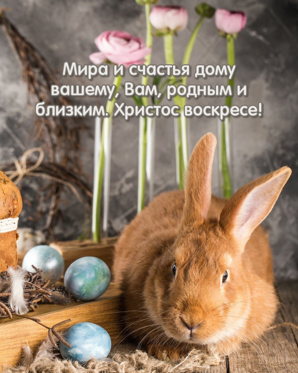 Мира и счастья дому вашему. Христос вескресе!
