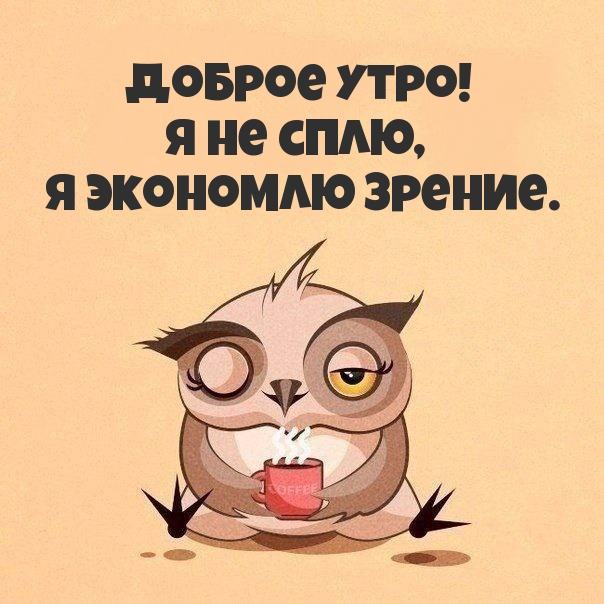 Доброе утро! Я не сплю, я экономлю зрение.