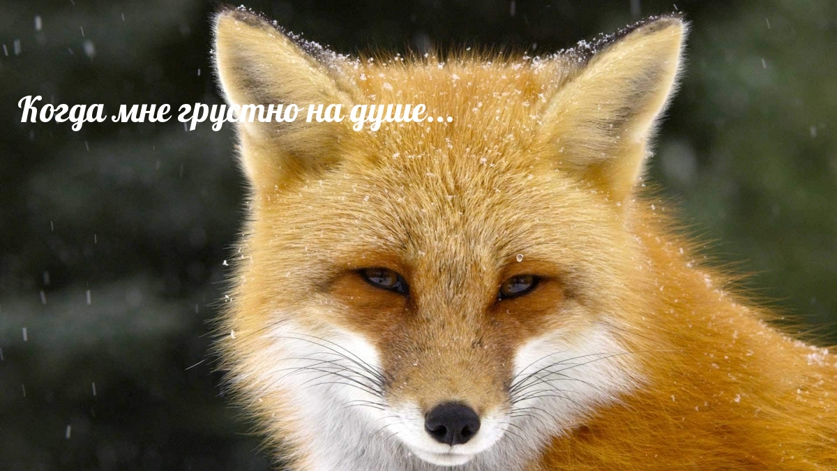 Когда мне грустно на душе…