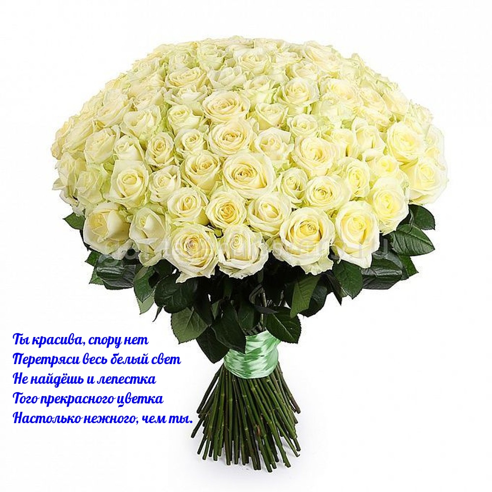 Ты красива, спору нет