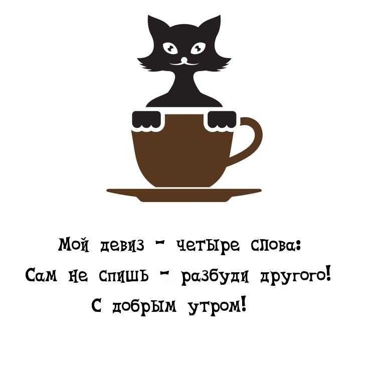 Мой девиз — четыре слова: сам не спишь — разбуди другого!