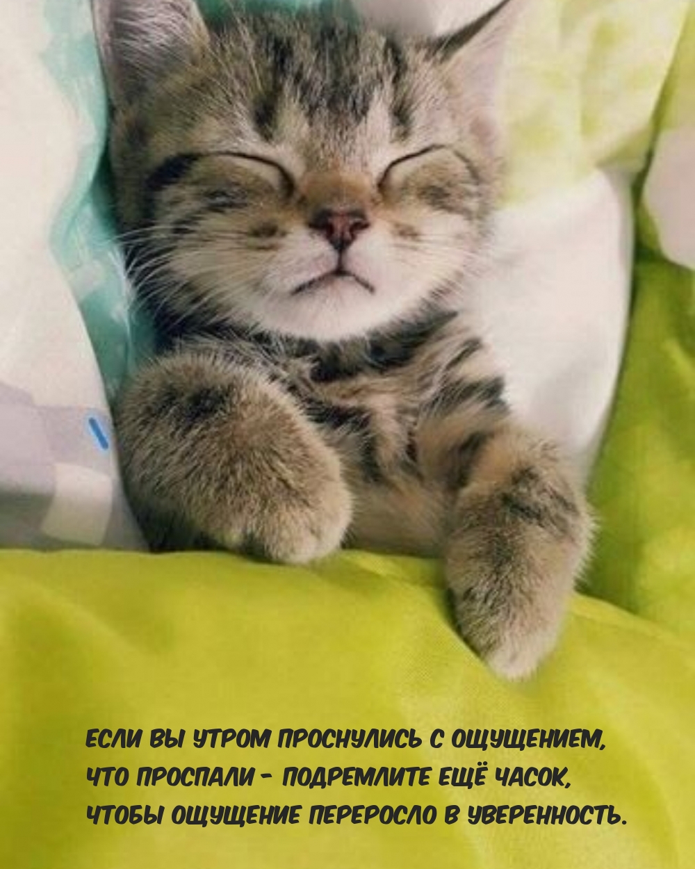 Если вы утром проснулись с ощущением, что вы проспали — подремлите