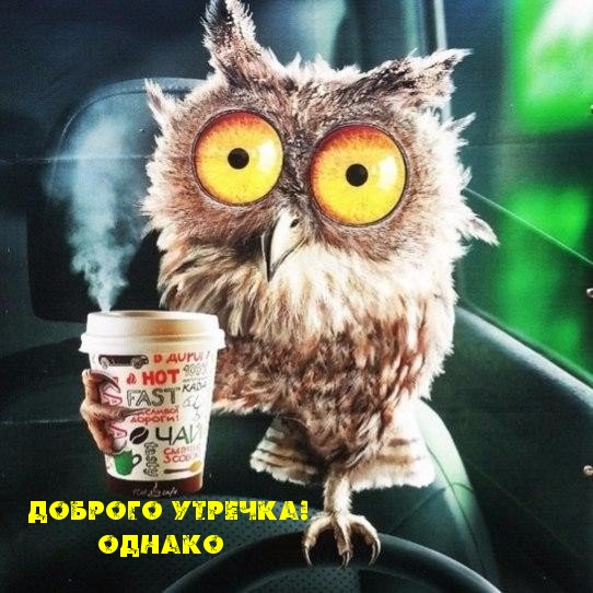 Доброго утречка! Однако