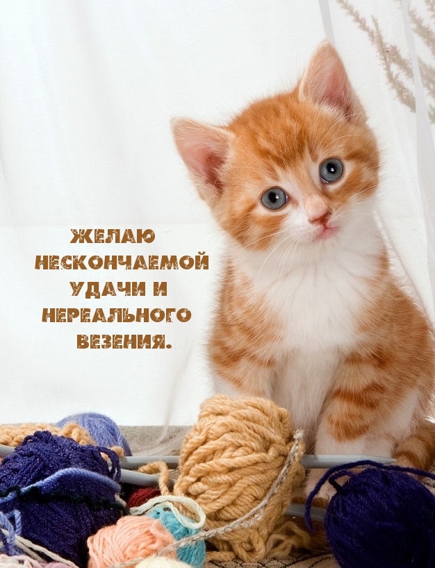Желаю нескончаемой удачи и нереального везения.