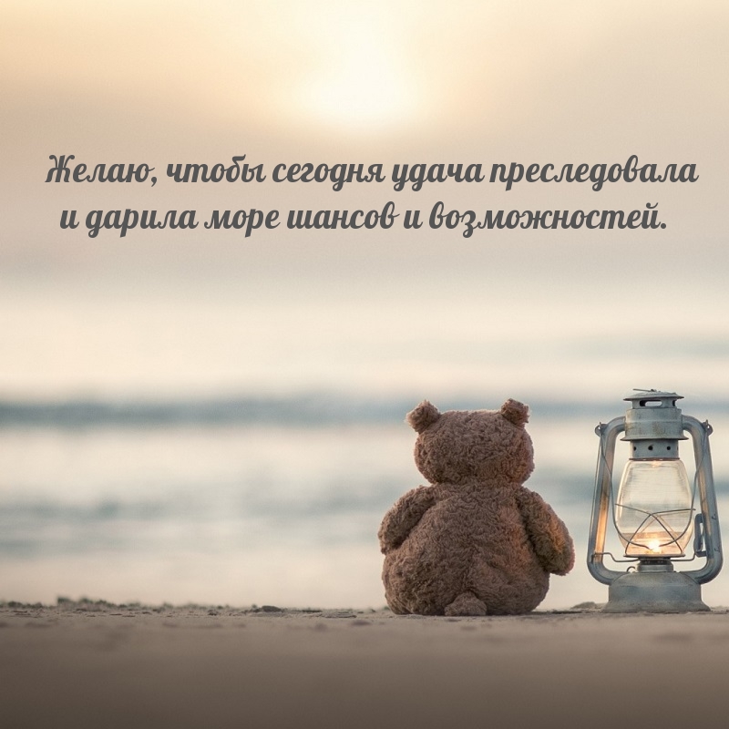Желаю, чтобы сегодня удача преследовала