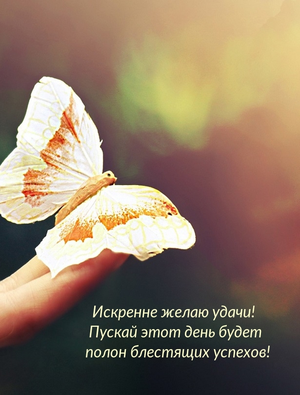 Искренне желаю удачи! Пускай этот день будет полон успехов!