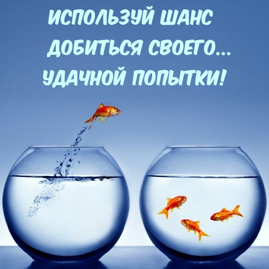 Используй шанс добиться своего… Удачной попытки!