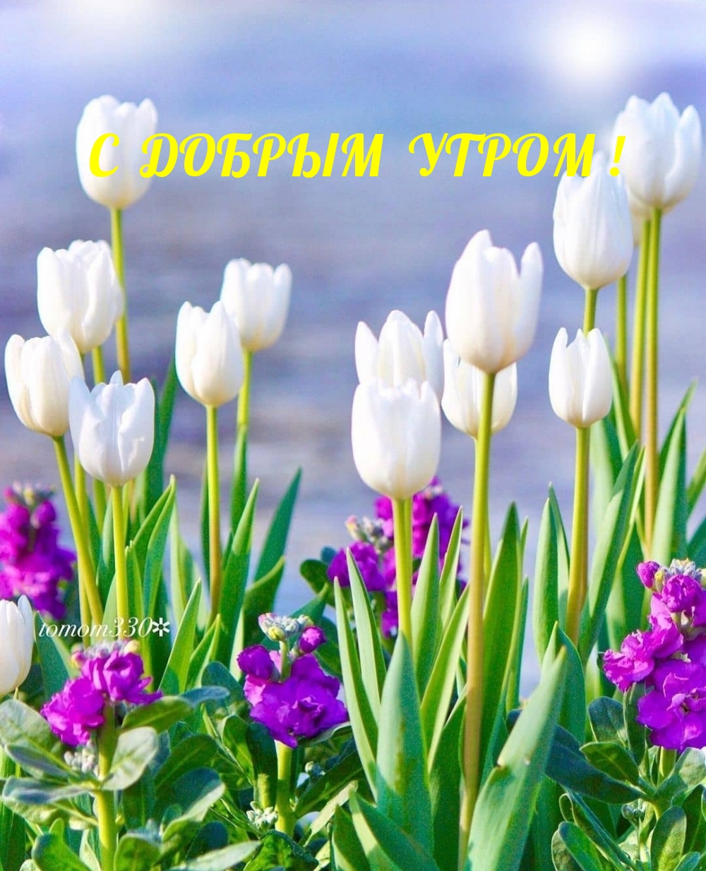 С добрым утром!