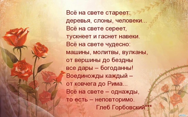 Все на свете стареет: деревья, слоны, человеки