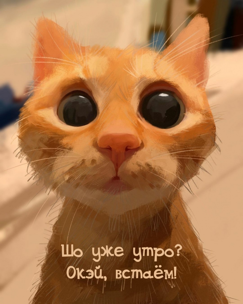 Шо уже утро? Окэй, встаём!