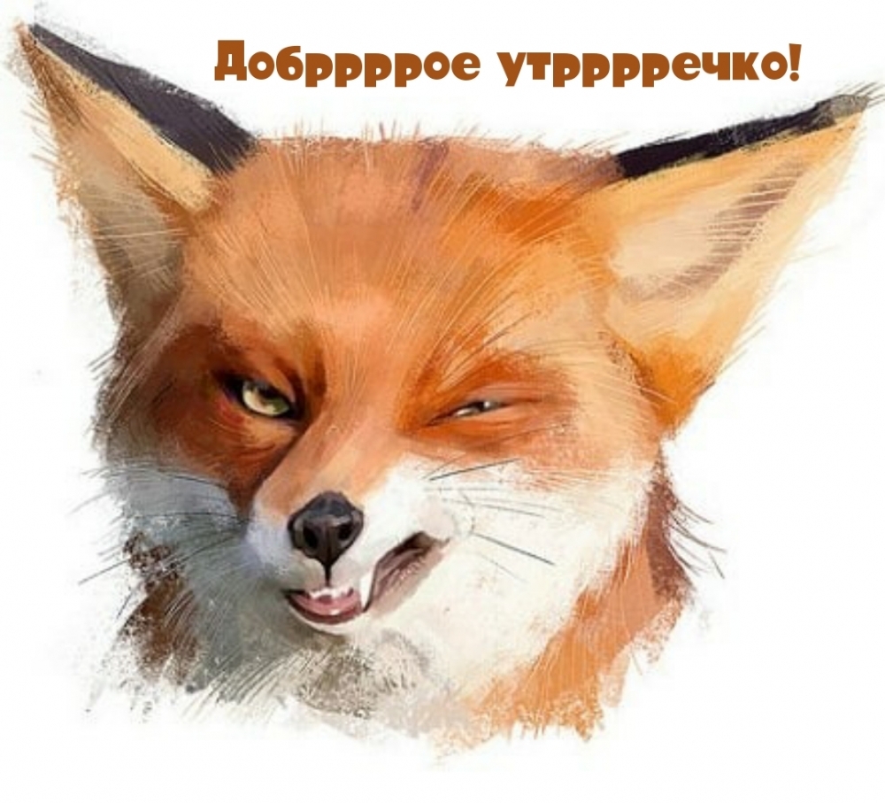 Добррррое утрррречко!