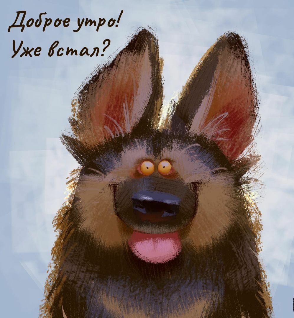 Доброе утро! Уже встал?