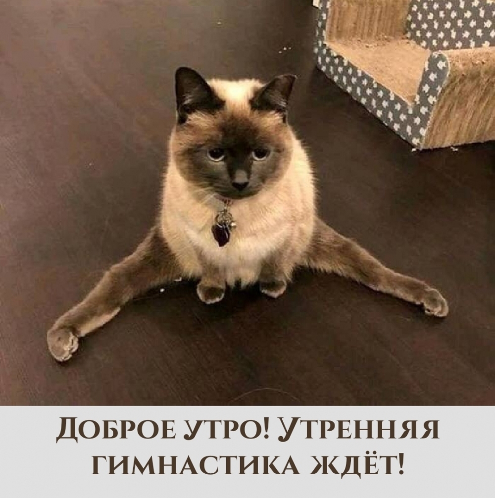 Доброе утро! Утренняя гимнастика ждёт!