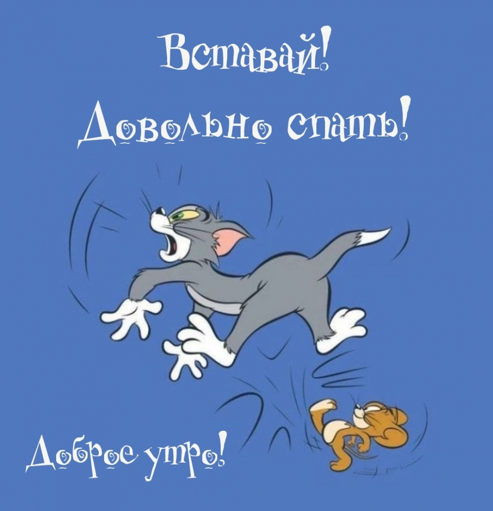 Доброе утро! Вставай! Довольно спать!