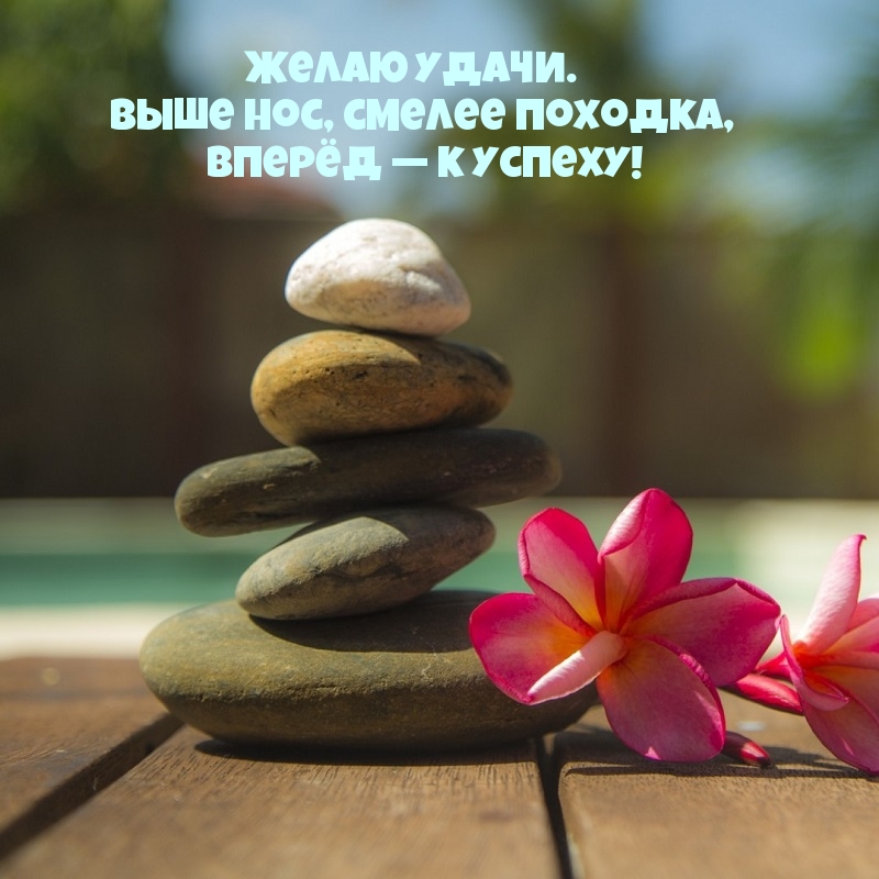 Желаю удачи. Выше нос, смелее походка, вперёд — к успеху!